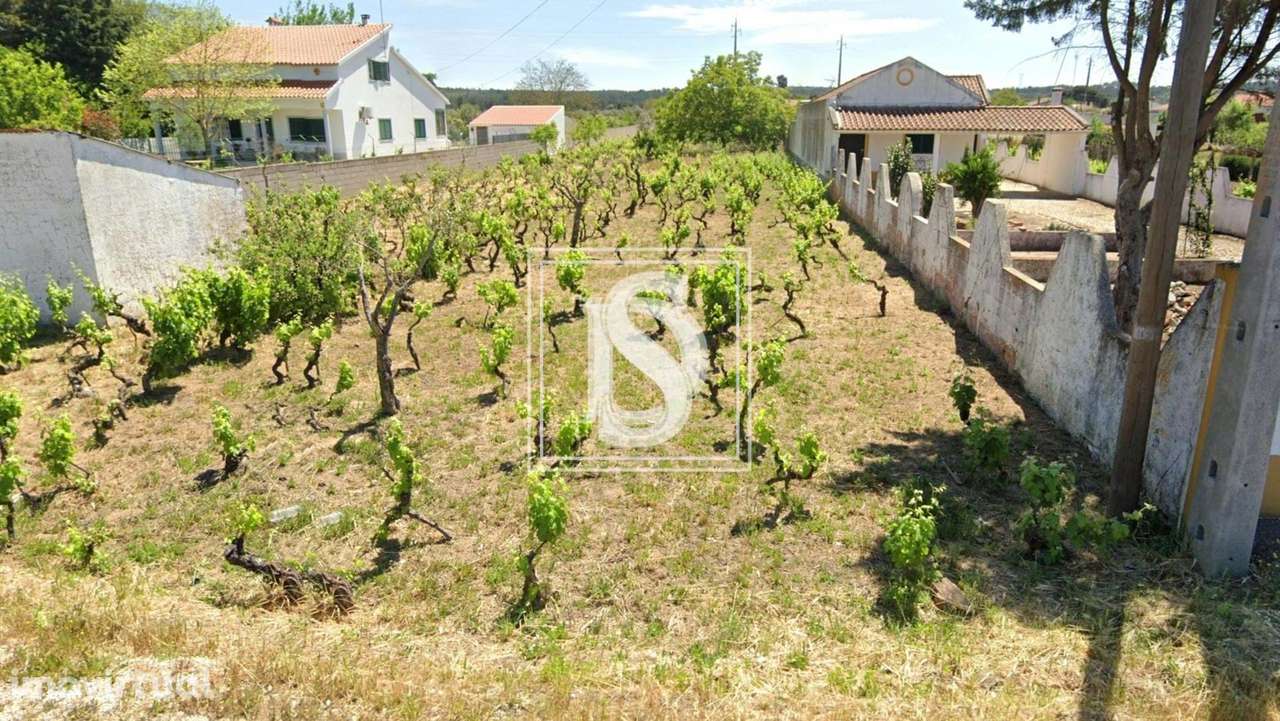 Terreno para Construção - Abrantes - Rossio - Grande imagem: 4/4