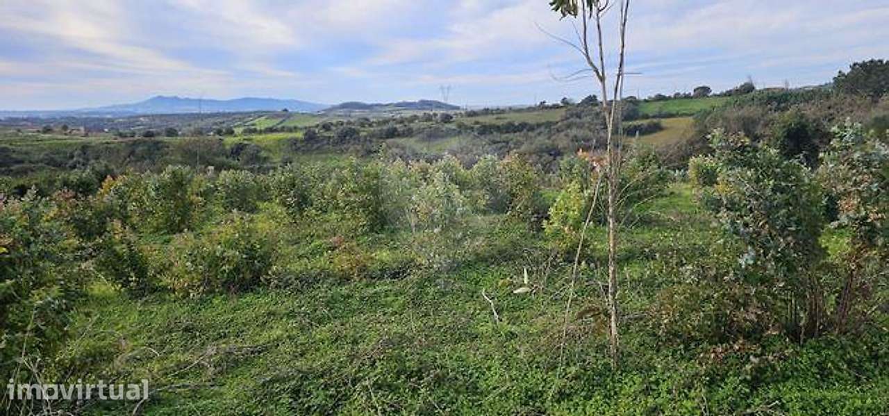 Terreno  para venda - Grande imagem: 5/7