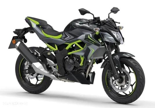 Kawasaki Ninja - 3