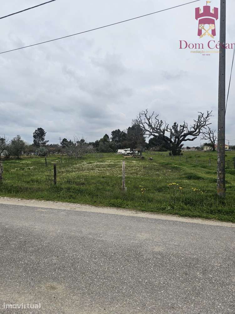 Terreno 1480 m2 - Glória do Ribatejo - Salvaterra de Magos - Grande imagem: 3/4
