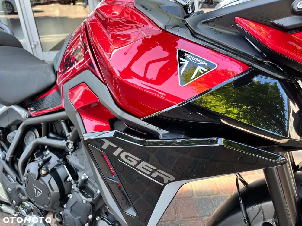 Triumph Tiger - 5