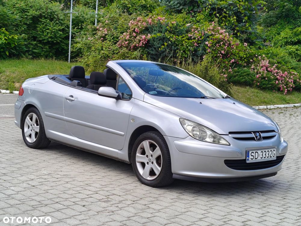 Peugeot 307 CC 110 Filou - 18