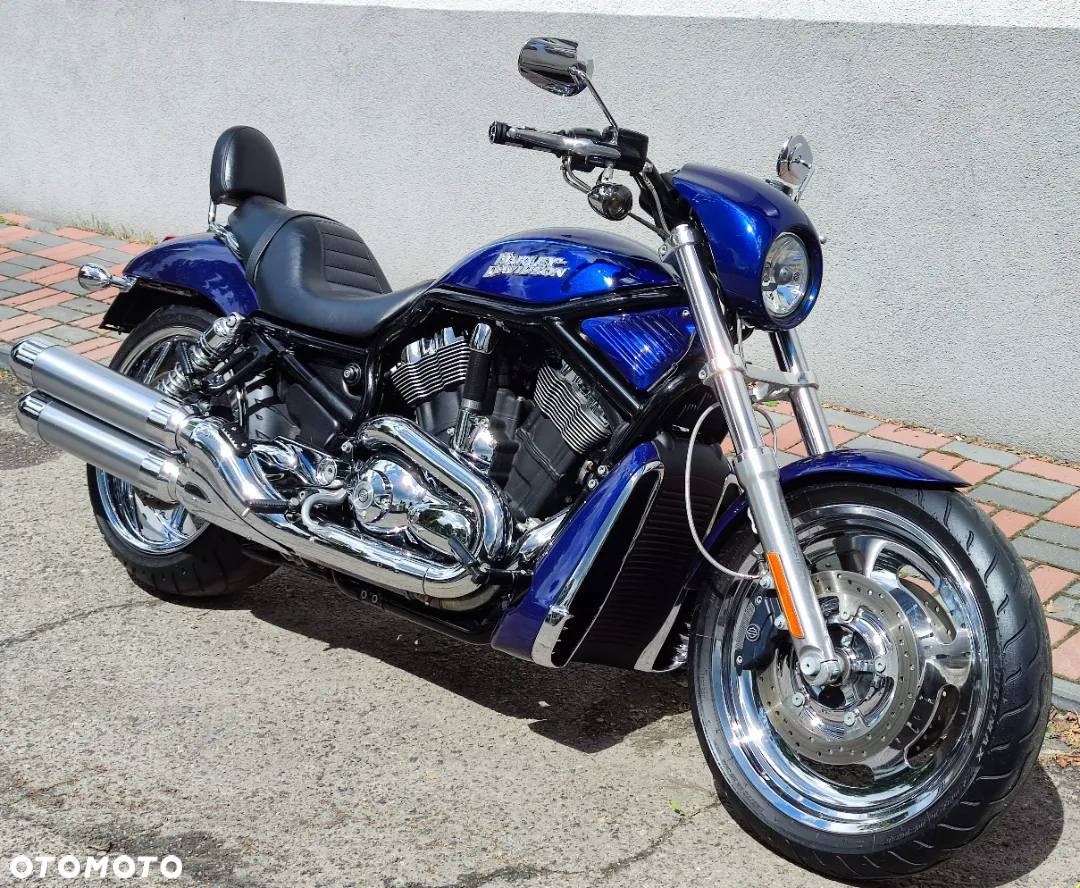 Harley-Davidson Softail V-Rod - 2
