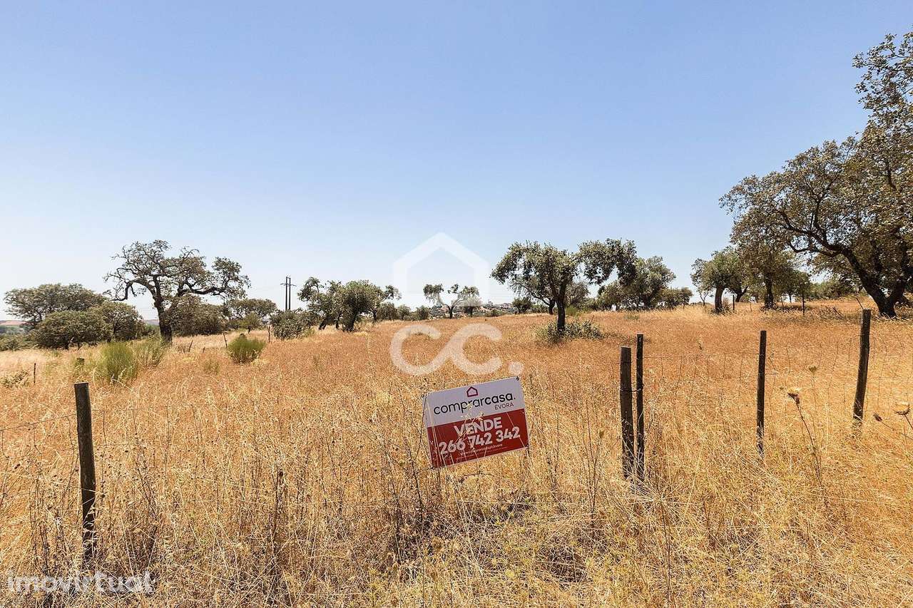 Terreno de 8000m2 junto à Barragem de Lucefécit | Terena (Alandroal) - Grande imagem: 4/13