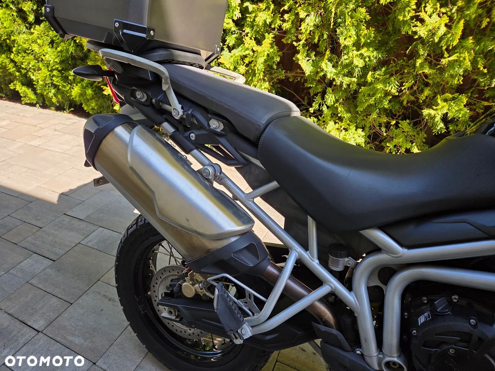 Triumph Tiger - 11