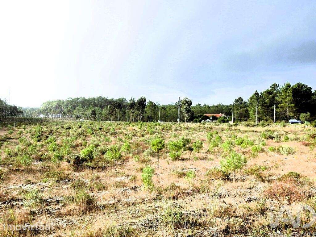 Terreno misto em Pataias e Martingança - Grande imagem: 4/31