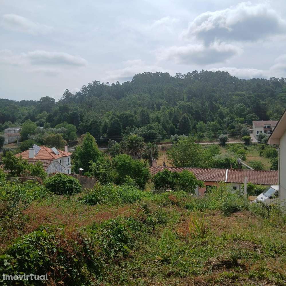 TERRENO COM VIABILIDADE DE CONSTRUÇÃO EM ASSAFARGE – COIMBRA - Grande imagem: 2/30