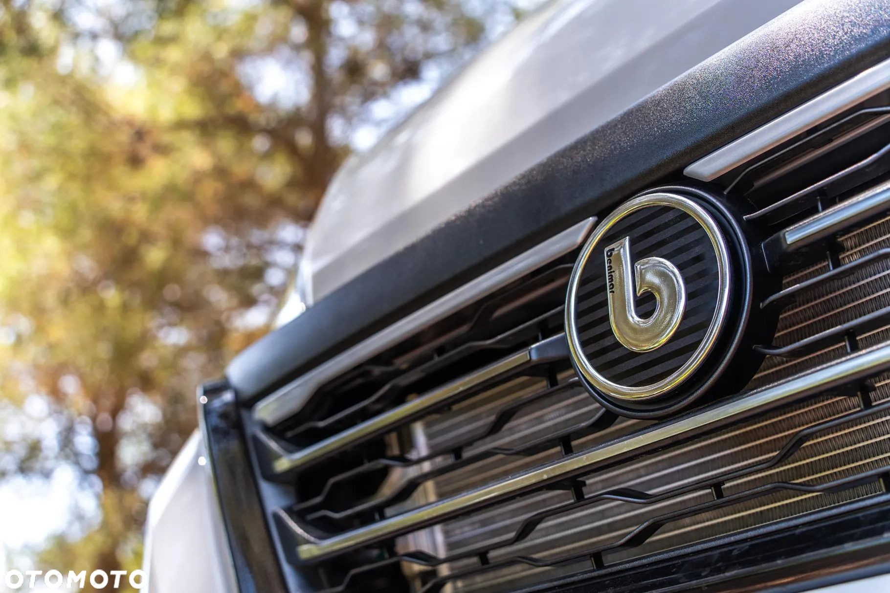 Benimar Mileo 261 - 10