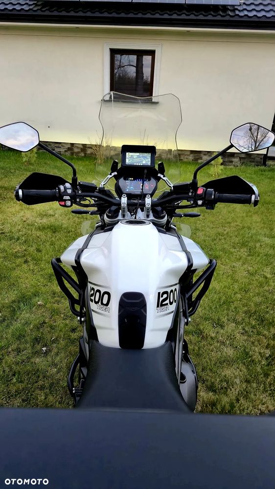 Triumph Tiger - 10