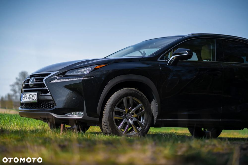 Lexus NX 300 Elegance 2WD - 18