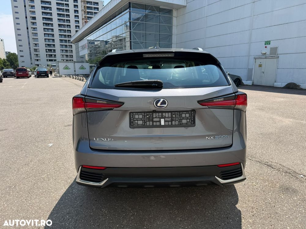 LEXUS NX 2020 — imagine 9