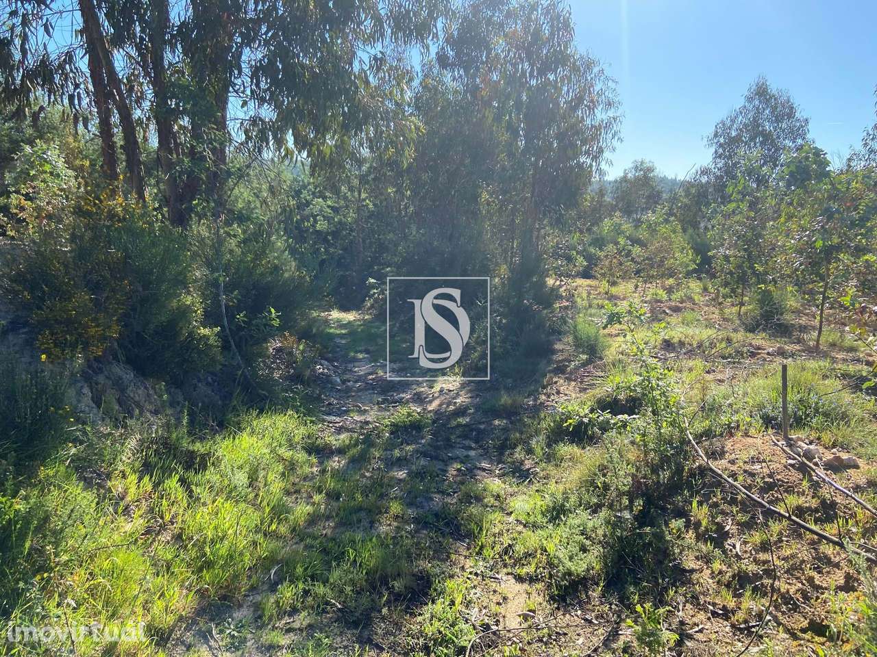 Terreno junto ao rio Dinha - Grande imagem: 4/16