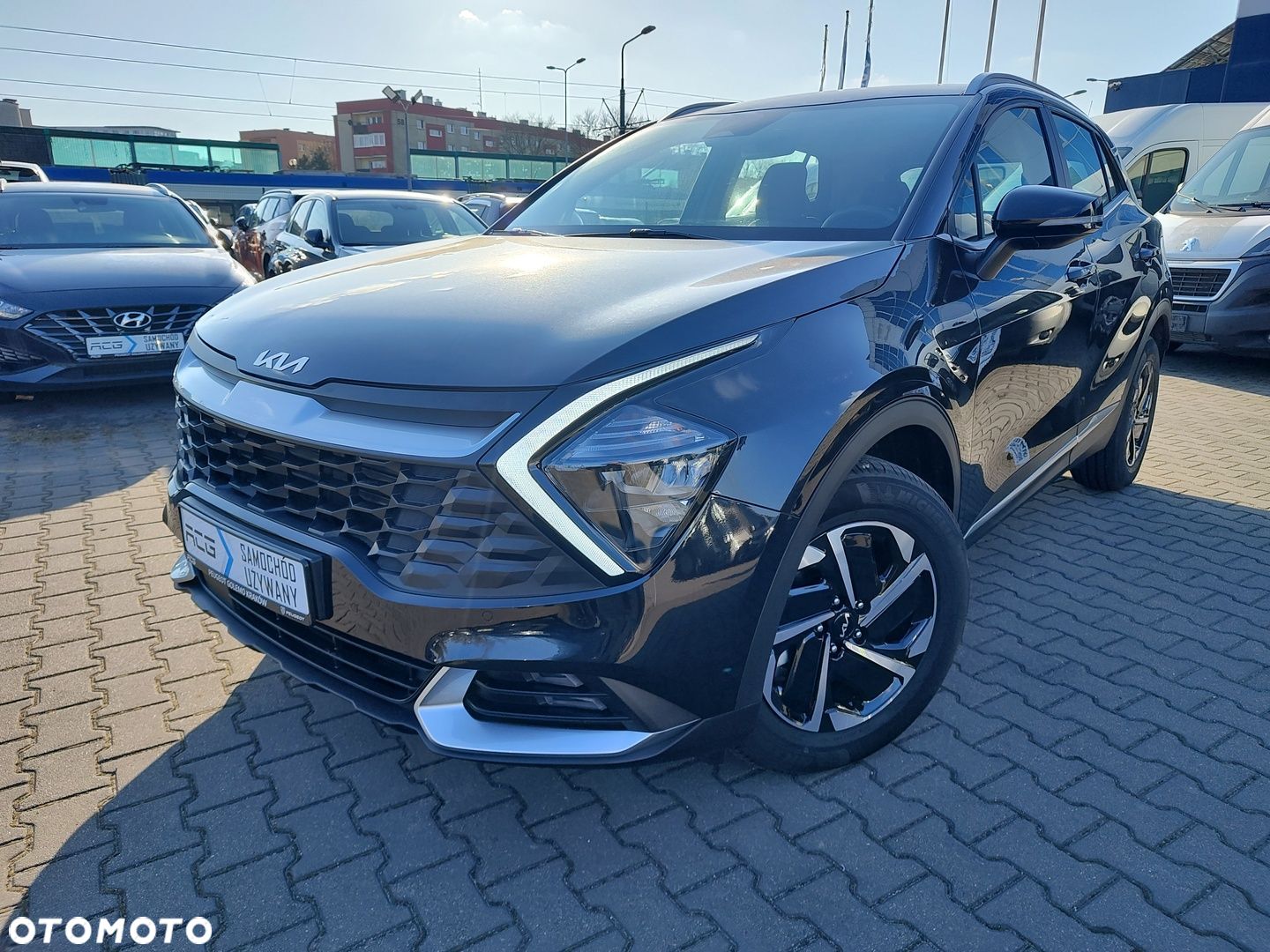 Kia Sportage - 1