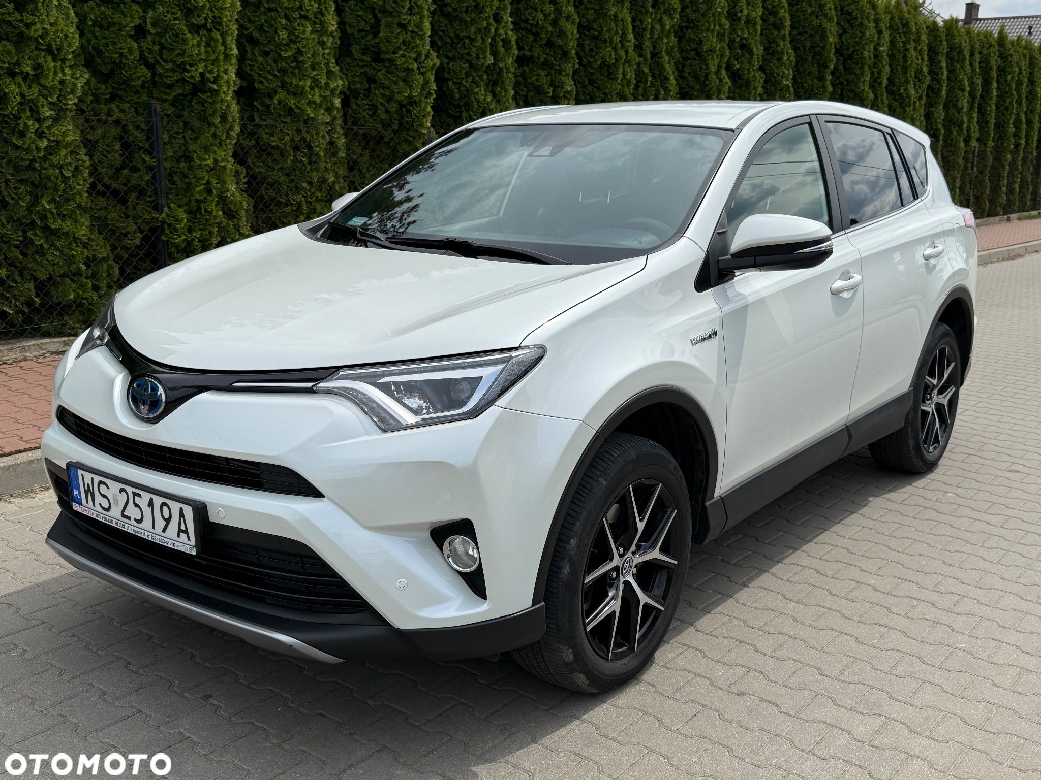Toyota RAV4 Hybrid Premium 4x2 - 1