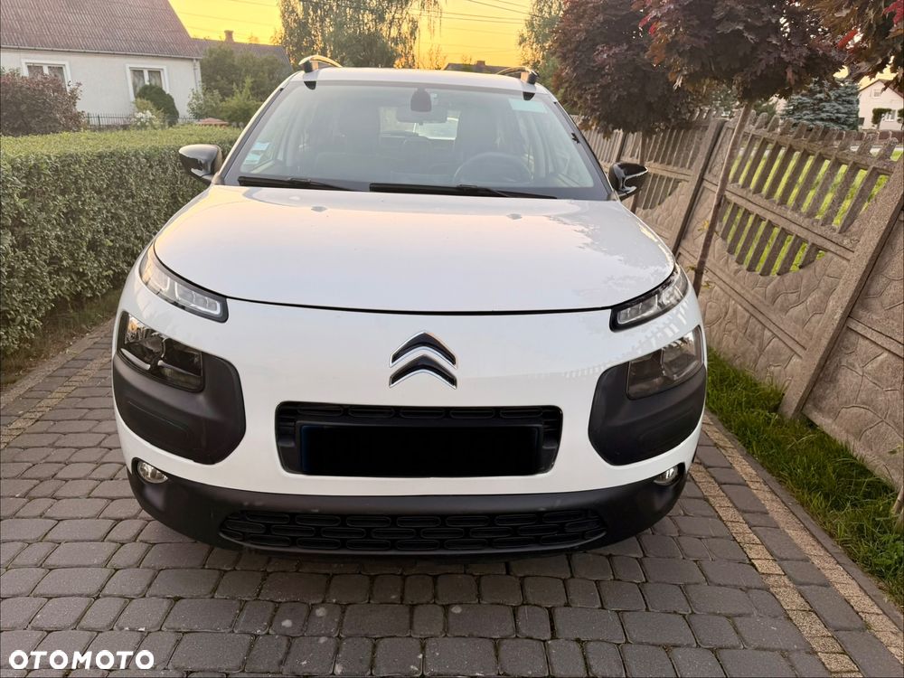 Citroën C4 Cactus PureTech 82 Business Class - 12