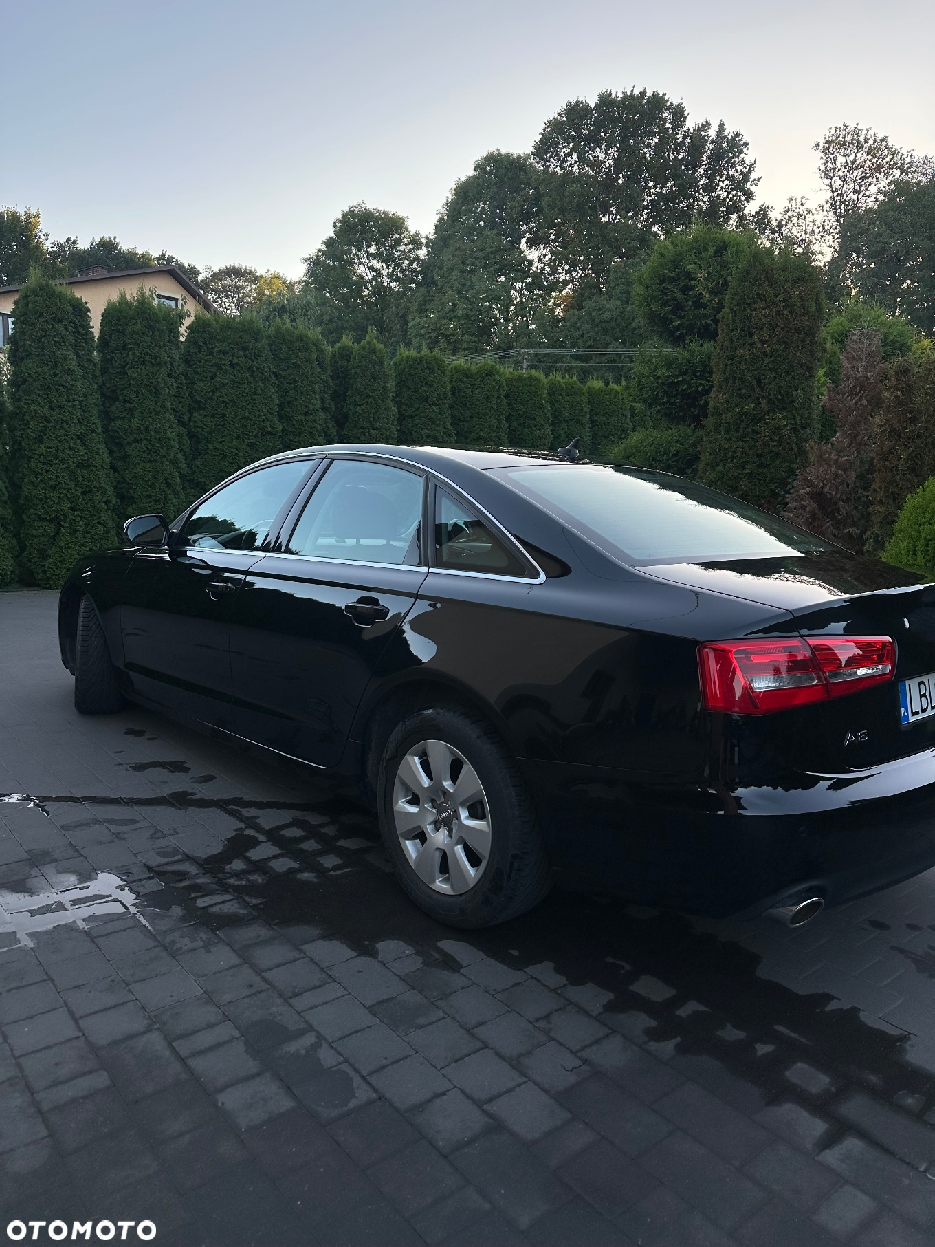Audi A6 - 6