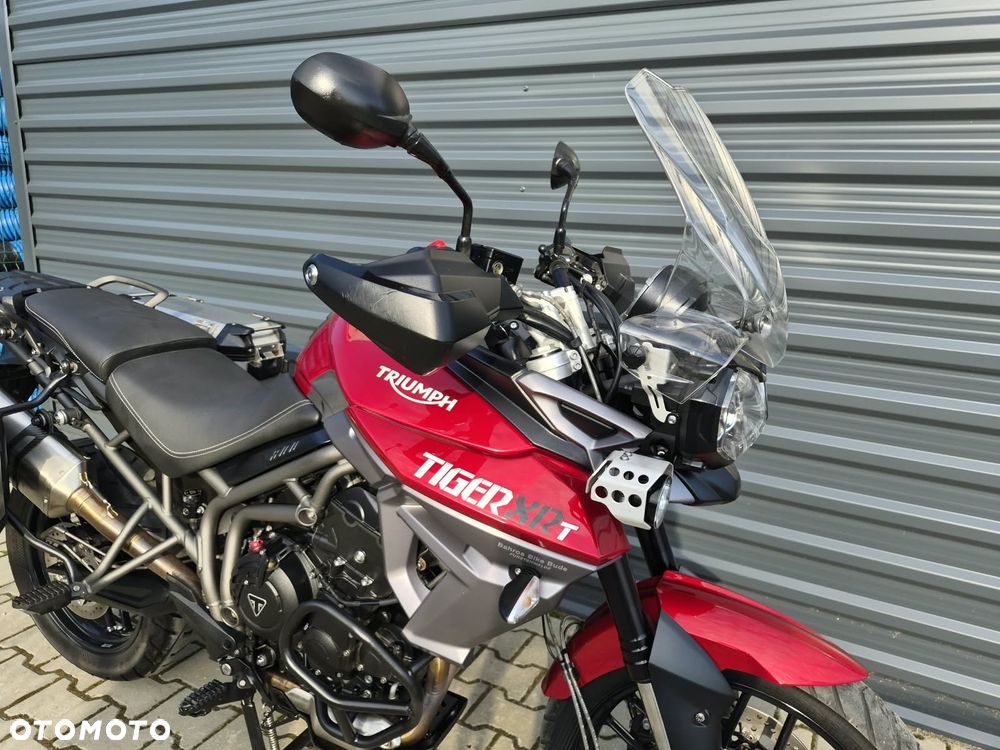 Triumph Tiger - 21