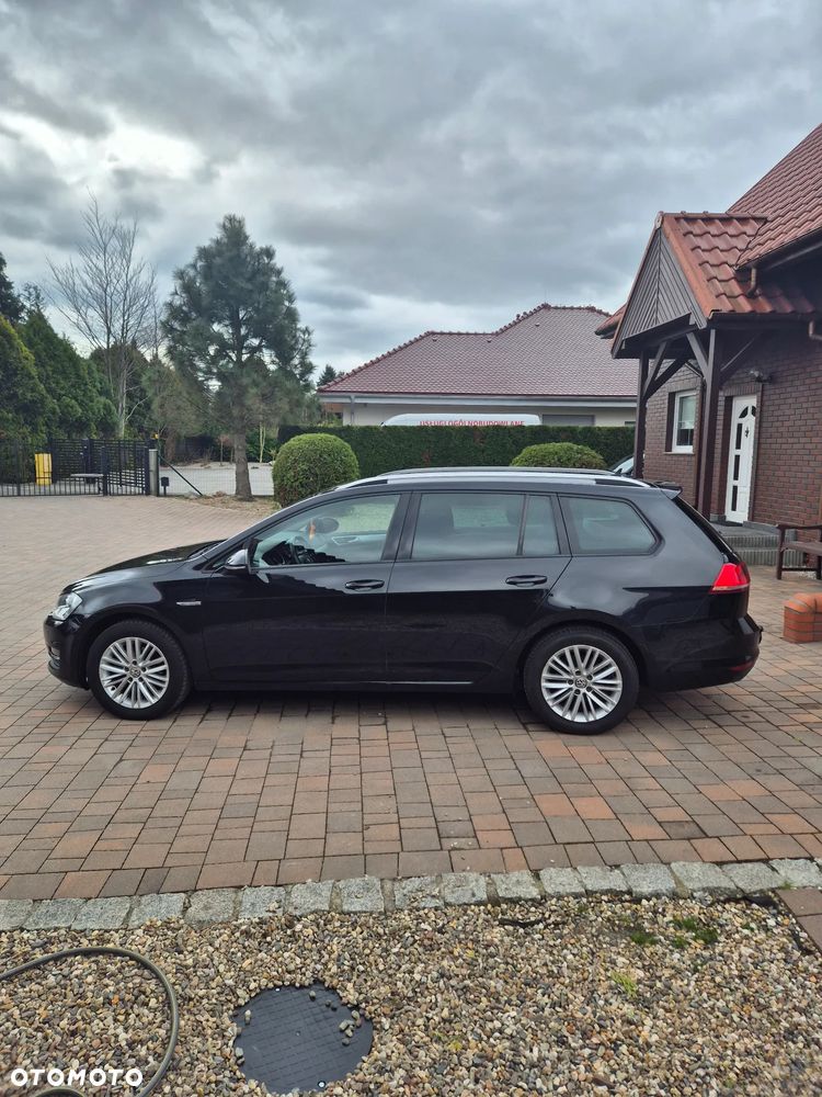 Volkswagen Golf 1.6 TDI BlueMotion Technology Cup - 14