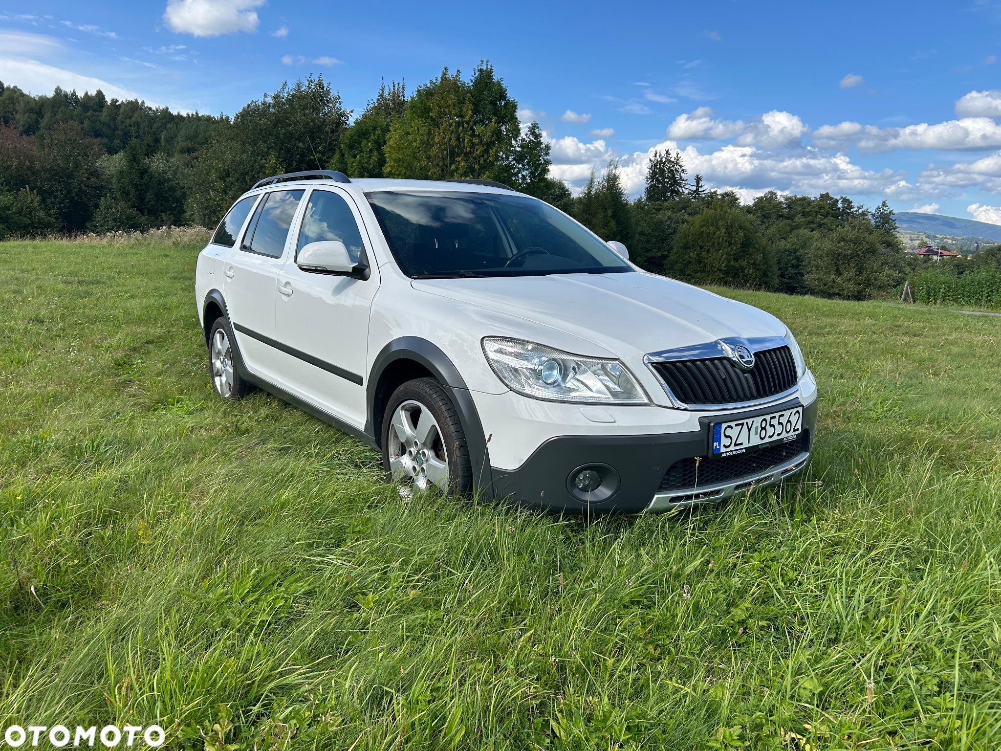 Skoda Octavia Scout 2.0 TDI DPF - 2