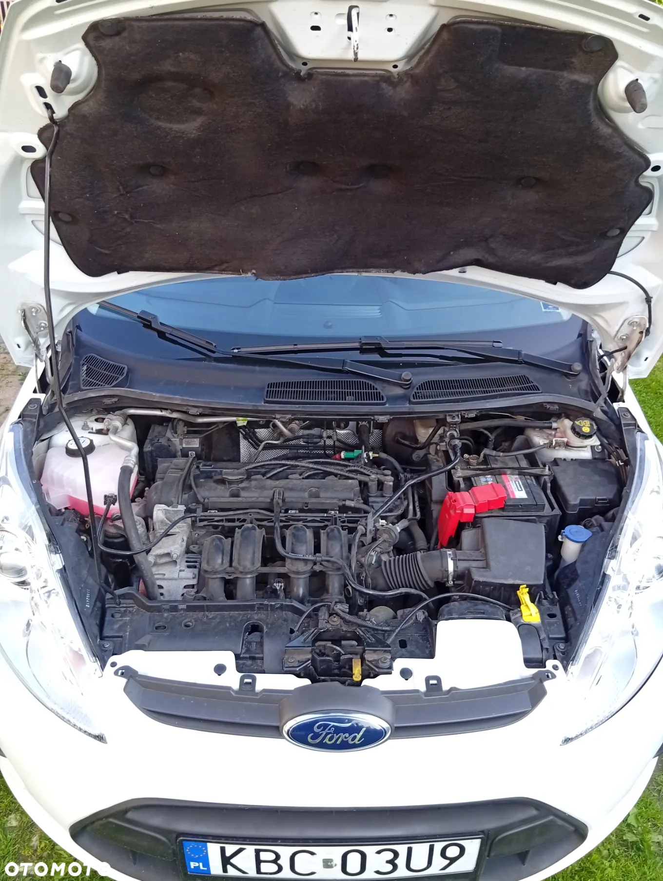 Ford Fiesta 1.25 Champions Edition - 35