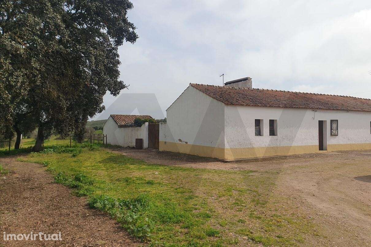 Moradia Térrea T3 em Mina da Orada, Pias, Serpa - Grande imagem: 3/35