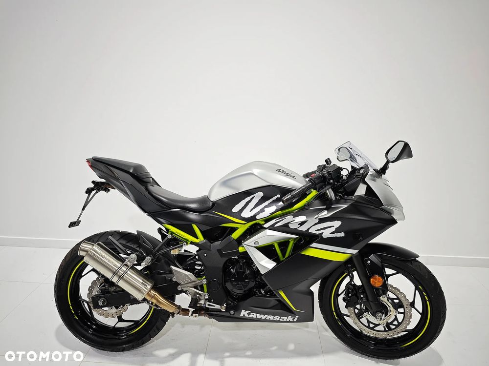 Kawasaki Ninja - 1