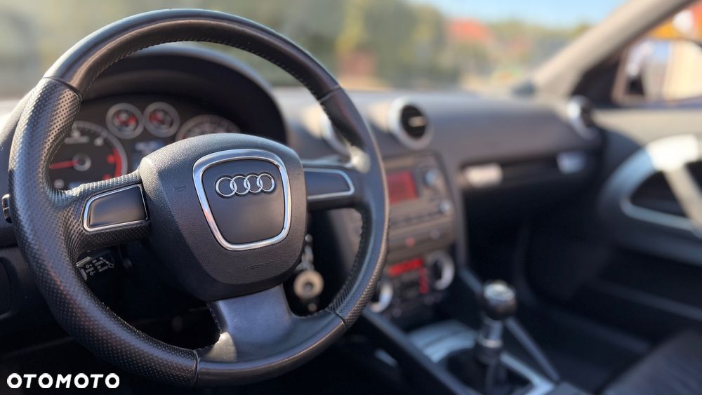 Audi A3 Cabrio 1.9 TDI DPF Ambition - 13