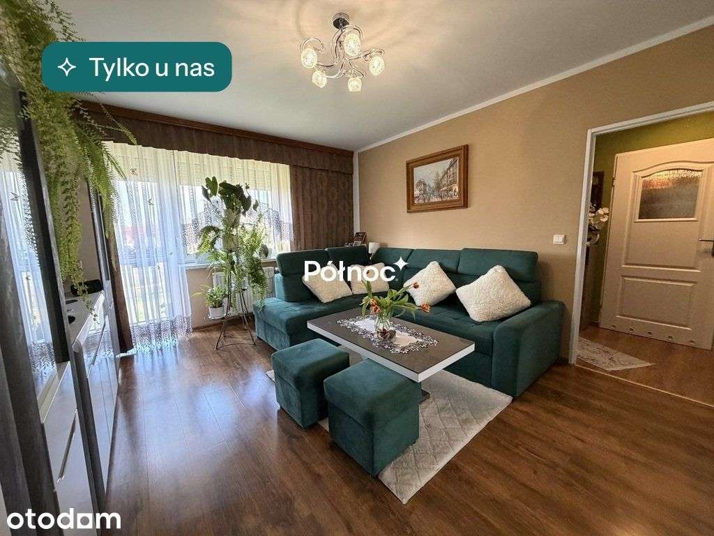 kawalerka w Gryfowie Śląskim