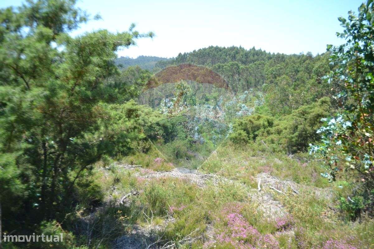 Terreno  para venda - Grande imagem: 3/24