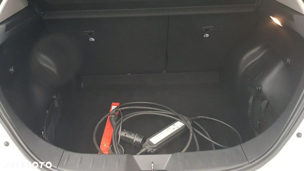 Nissan Leaf - 15