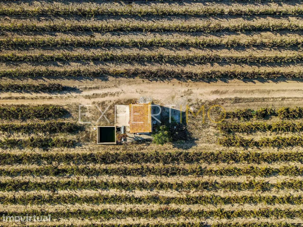Terreno Rústico de 28.500 m² com vinha e potencial de construção - Grande imagem: 2/13