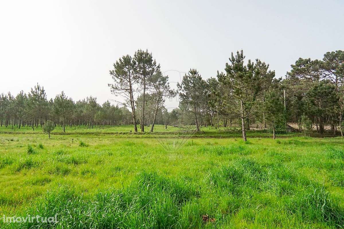 Terreno  para venda - Grande imagem: 5/6