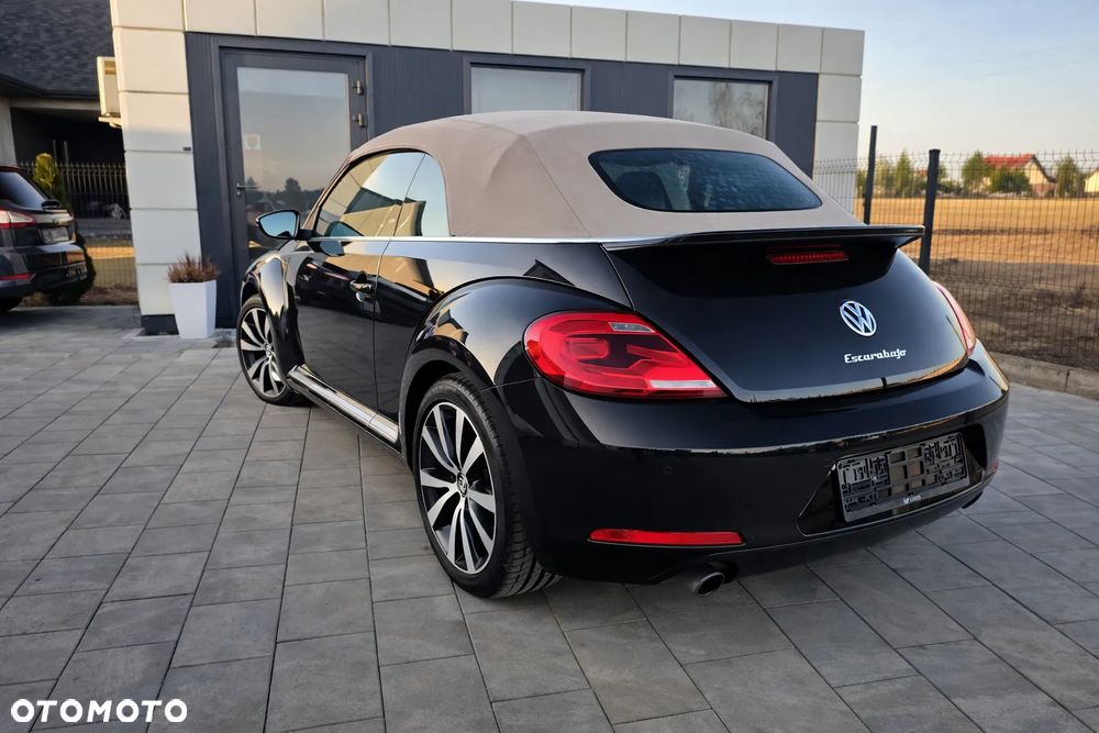 Volkswagen Beetle - 15