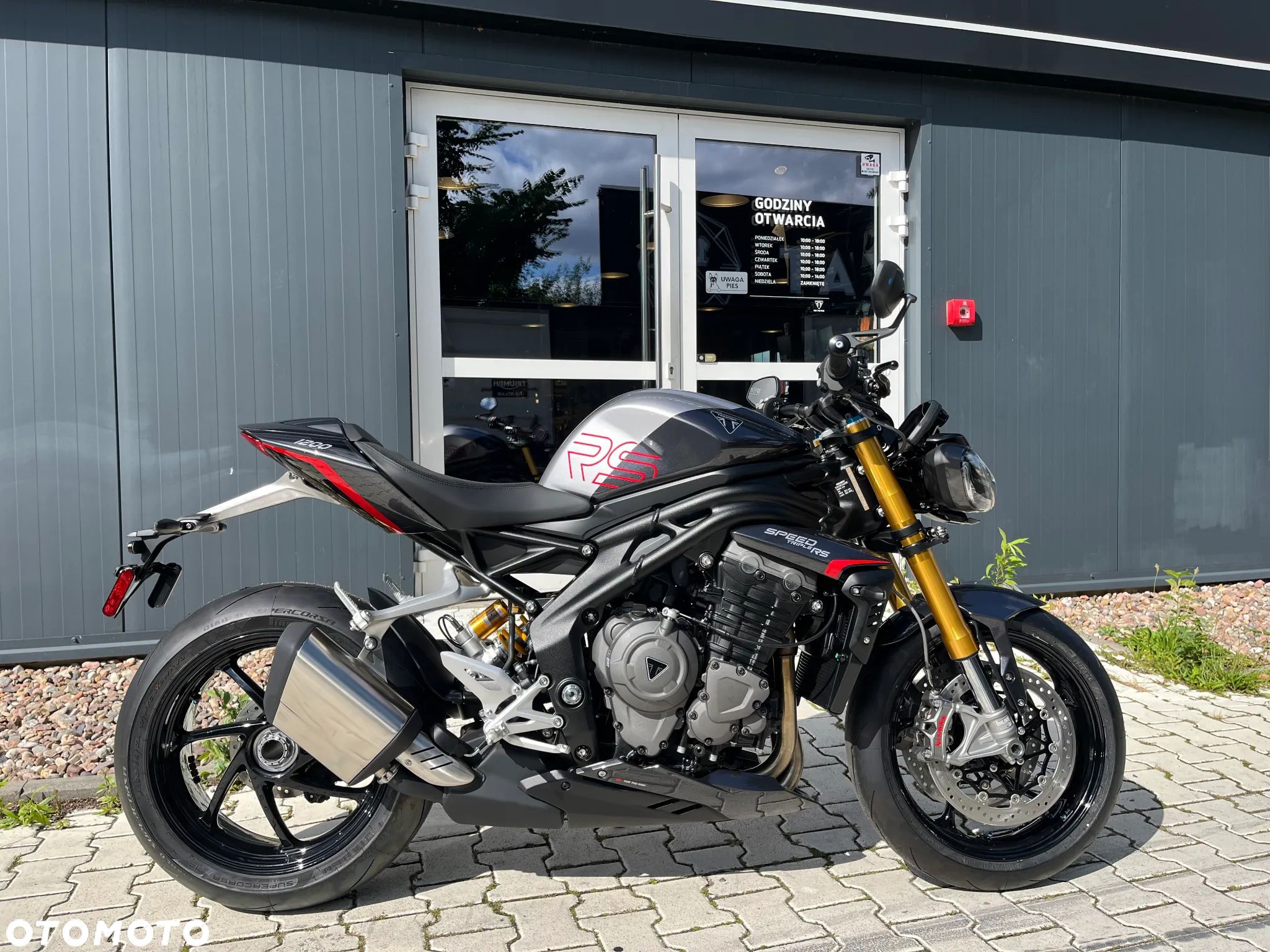 Triumph Speed Triple - 1