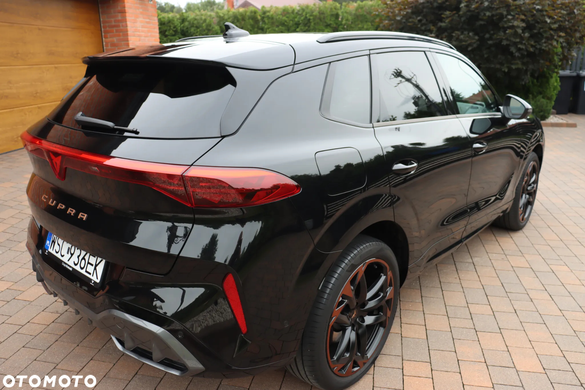 Cupra Terramar - 3