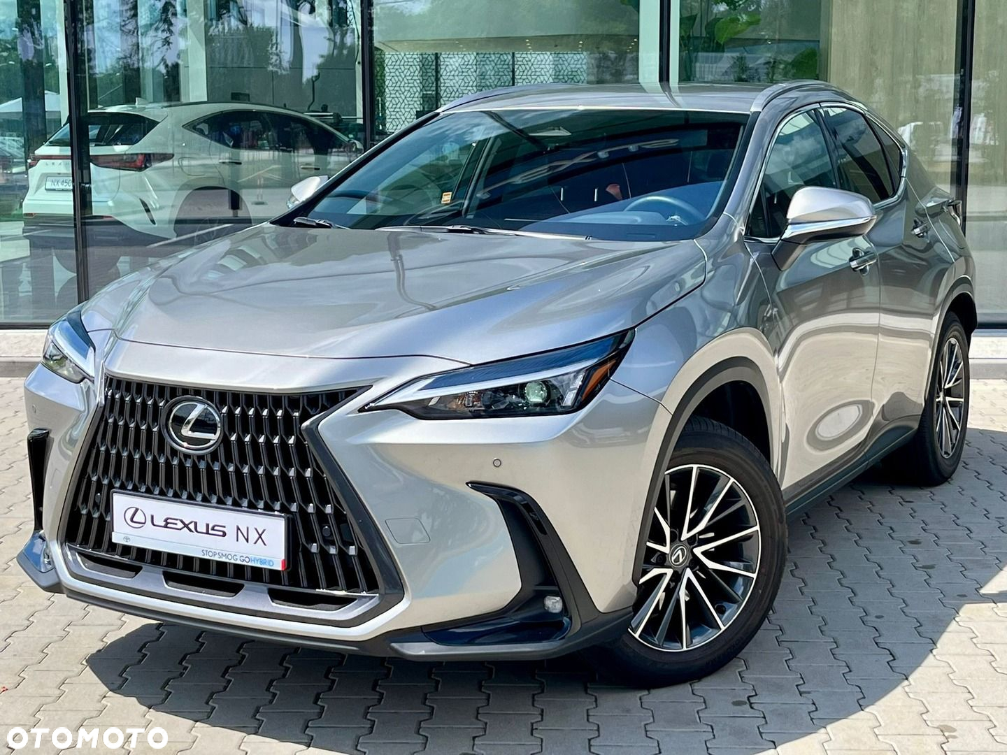 Lexus NX - 10