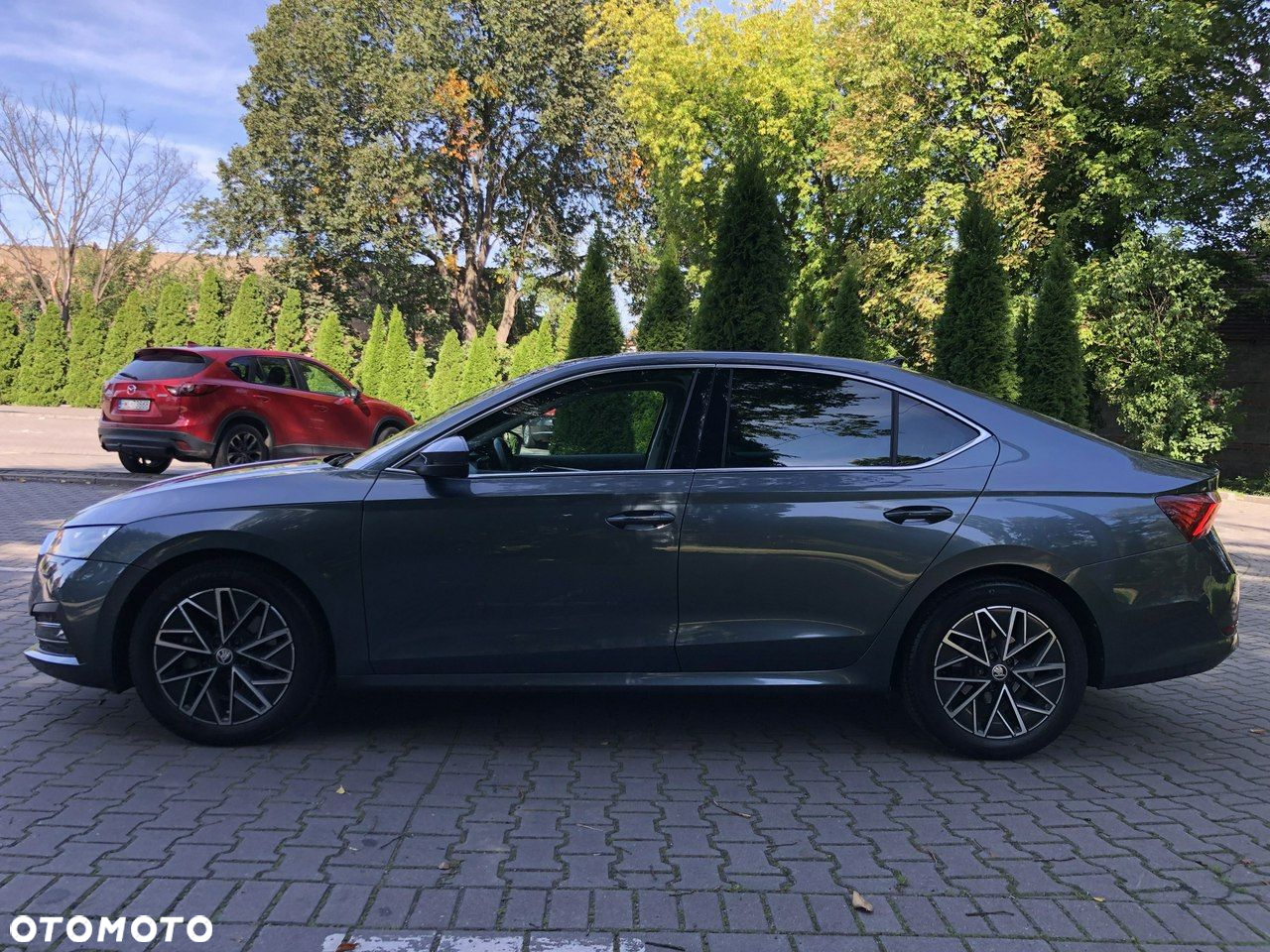 Skoda Octavia - 2