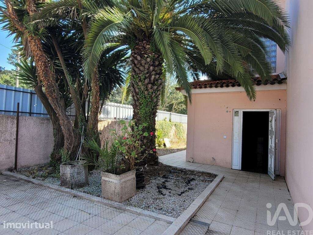 Prédio em Esgueira de 520,00 m2 - Grande imagem: 3/24