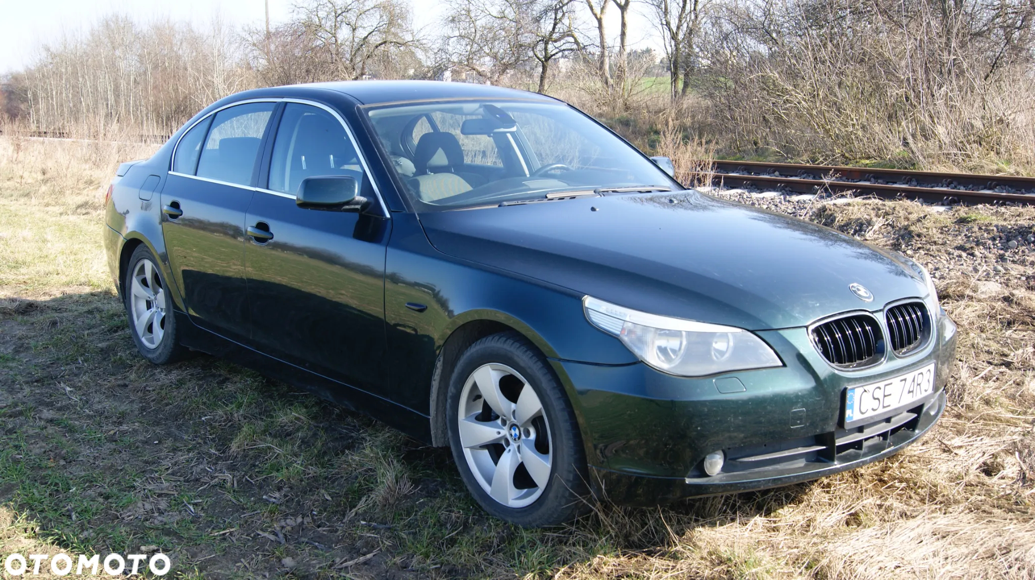 BMW Seria 5 520i - 20