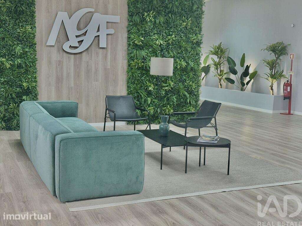 Escritório em Mina de Água de 490,00 m2