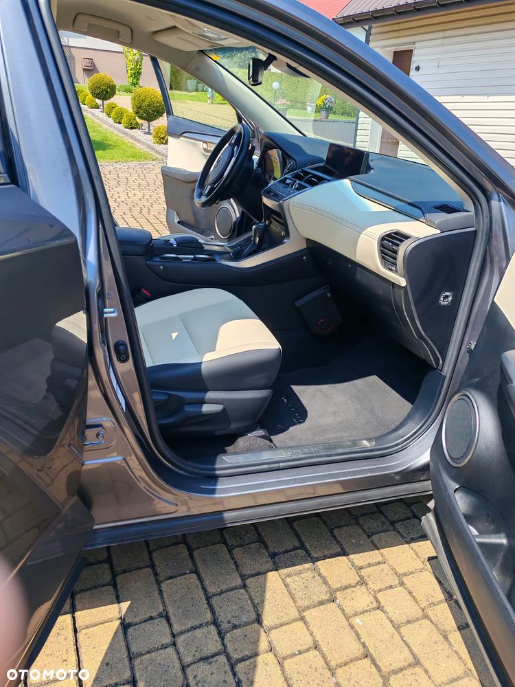 Lexus NX 300h Business Edition AWD - 21
