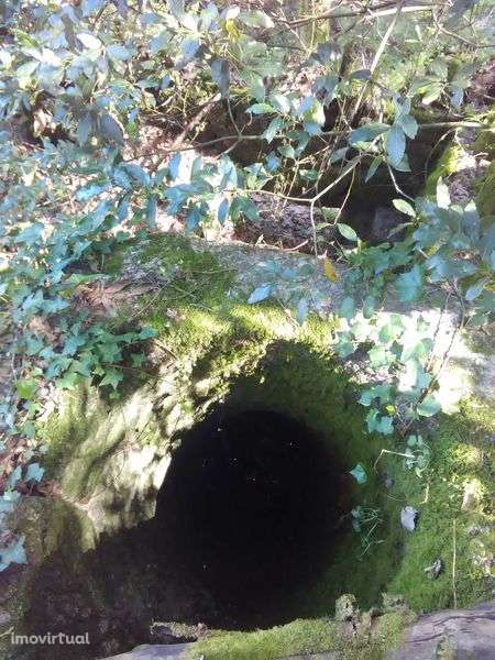 Quinta do seculo XVll. - Grande imagem: 3/8