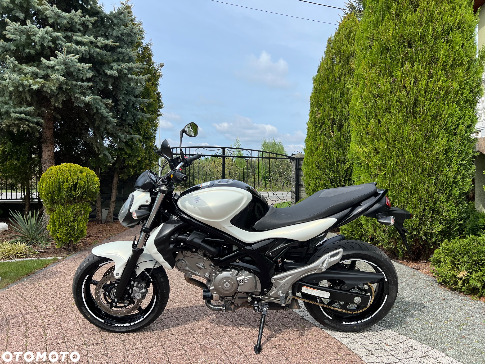 Suzuki Gladius - 23
