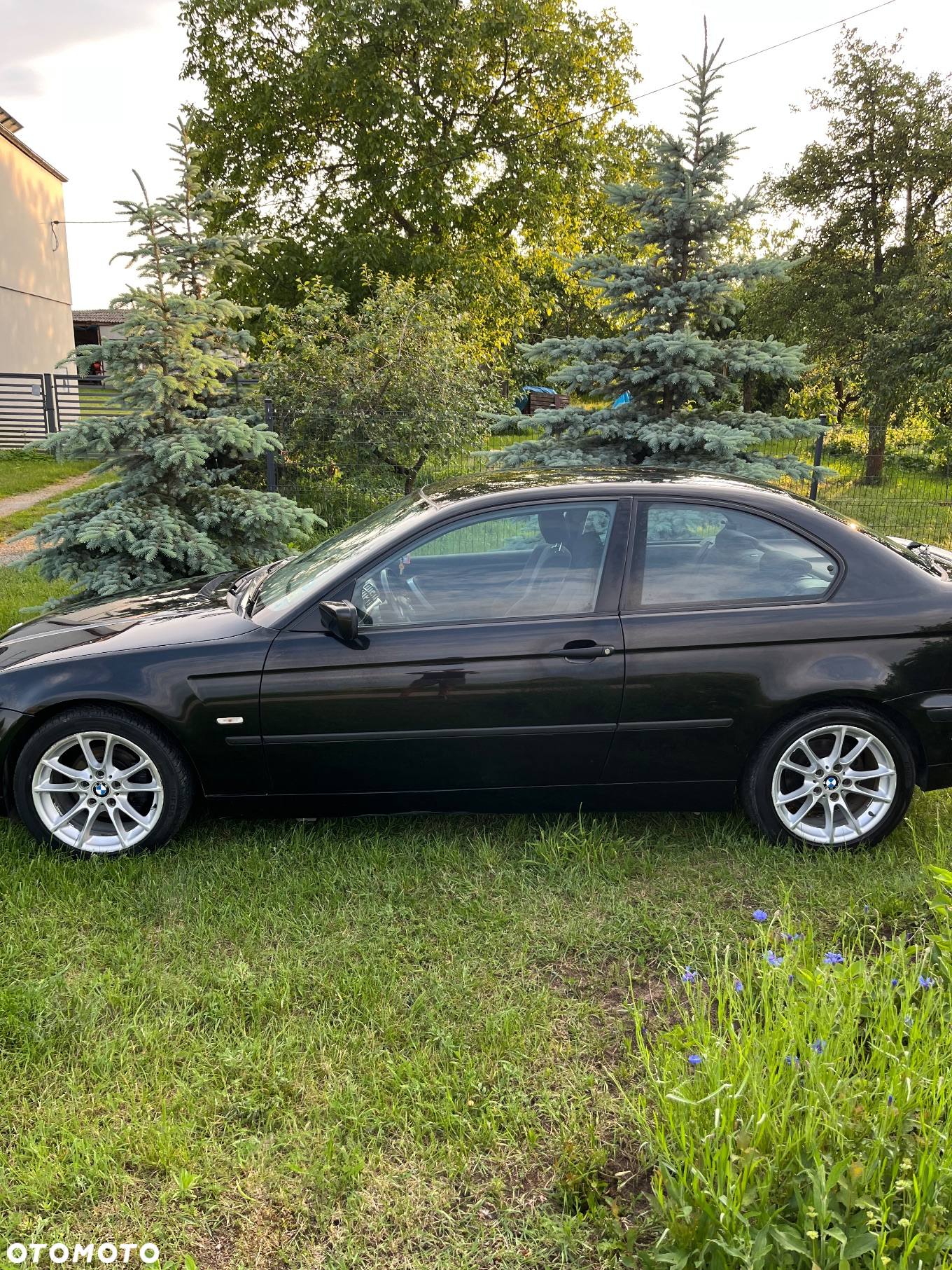BMW Seria 3 316ti - 11