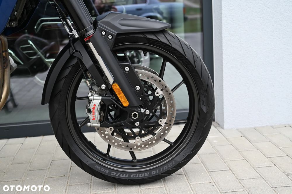 Triumph Tiger - 31