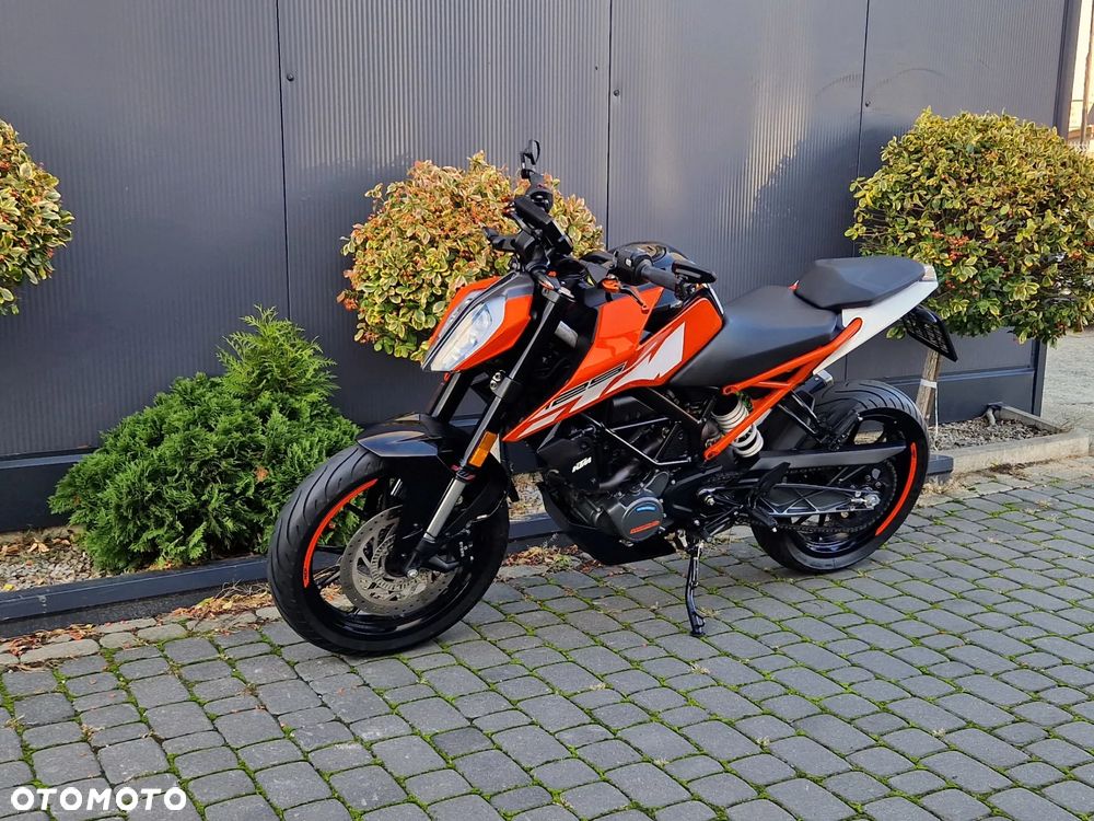 KTM Duke - 5