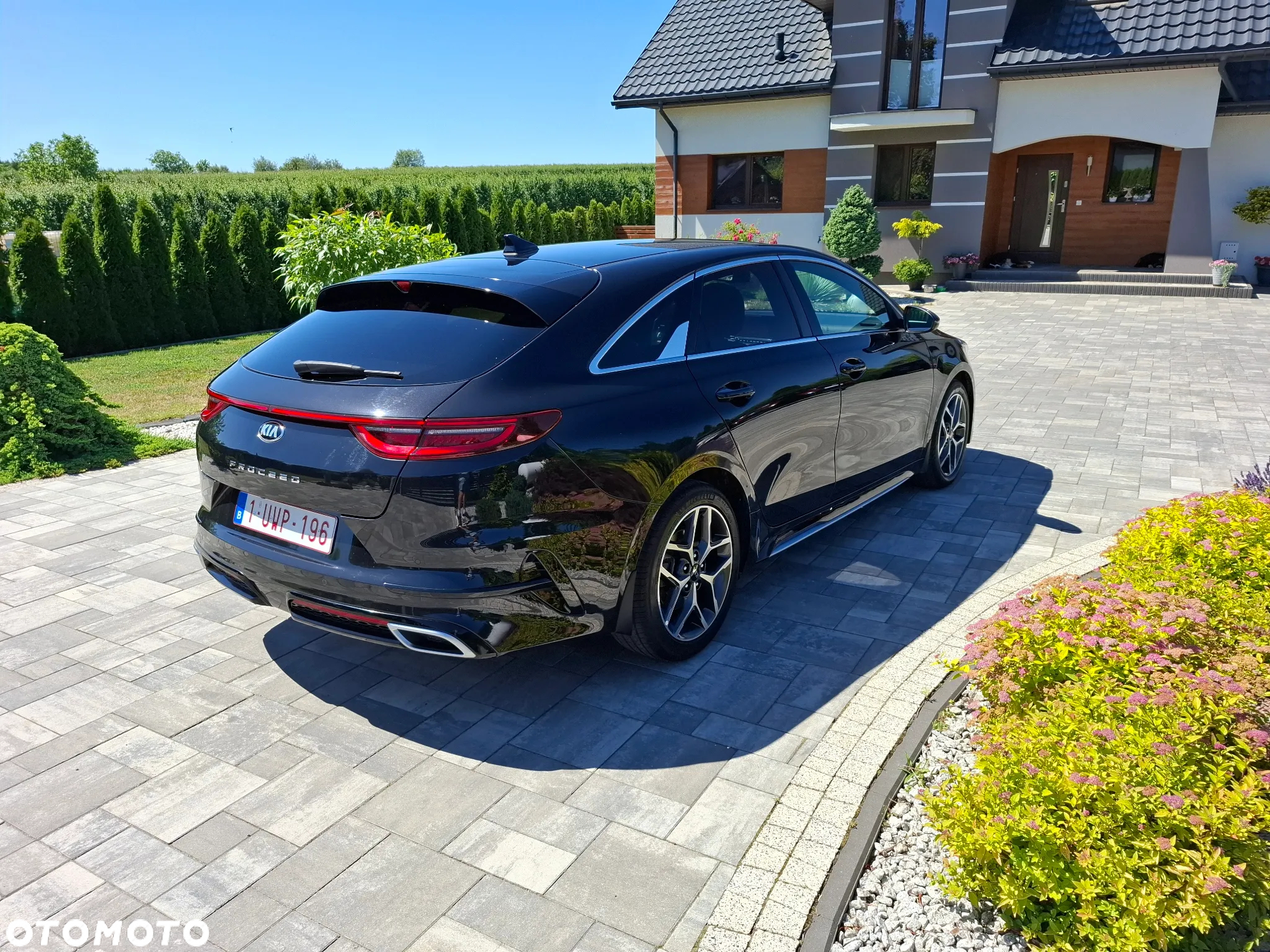 Kia ProCeed 1.5 T-GDI GT Line - 11