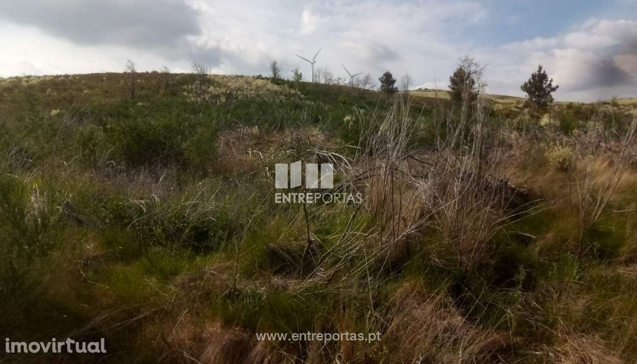 Venda Terreno com 6400m2, Gestaçô, Baião - Grande imagem: 2/17