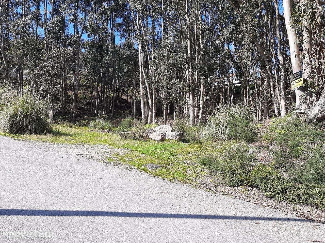 Vende terreno c/ 3.408m2 todo zona construção Canelas Penafiel - Grande imagem: 5/11