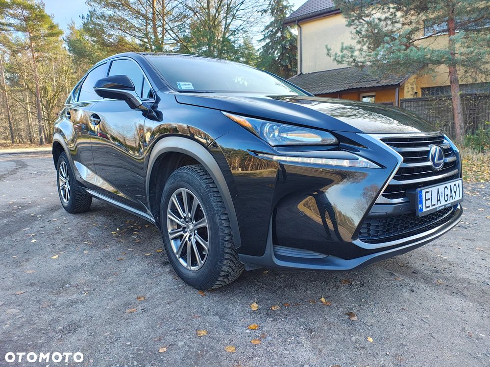 Lexus NX 300h Elegance 2WD - 39
